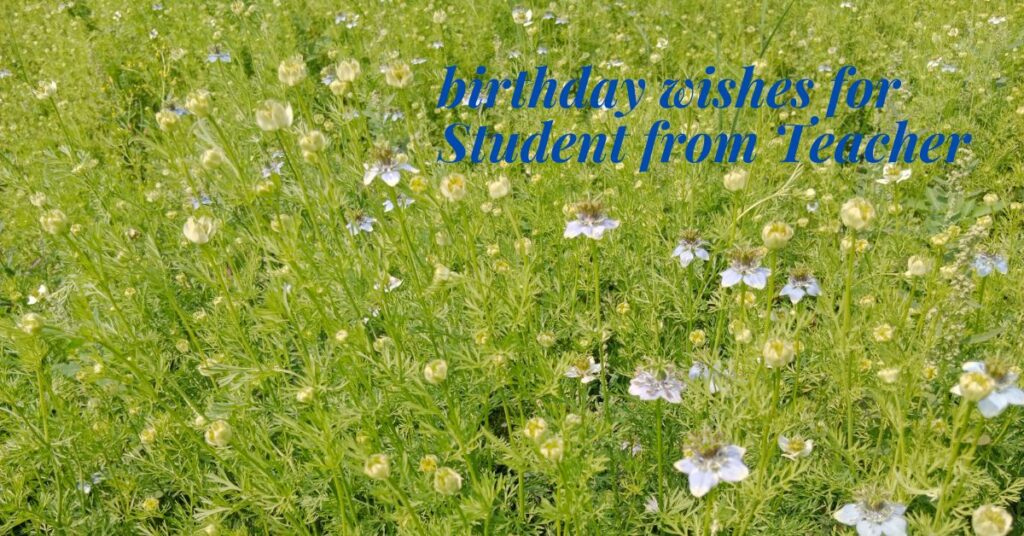 birthday wishes for Student from Teacher