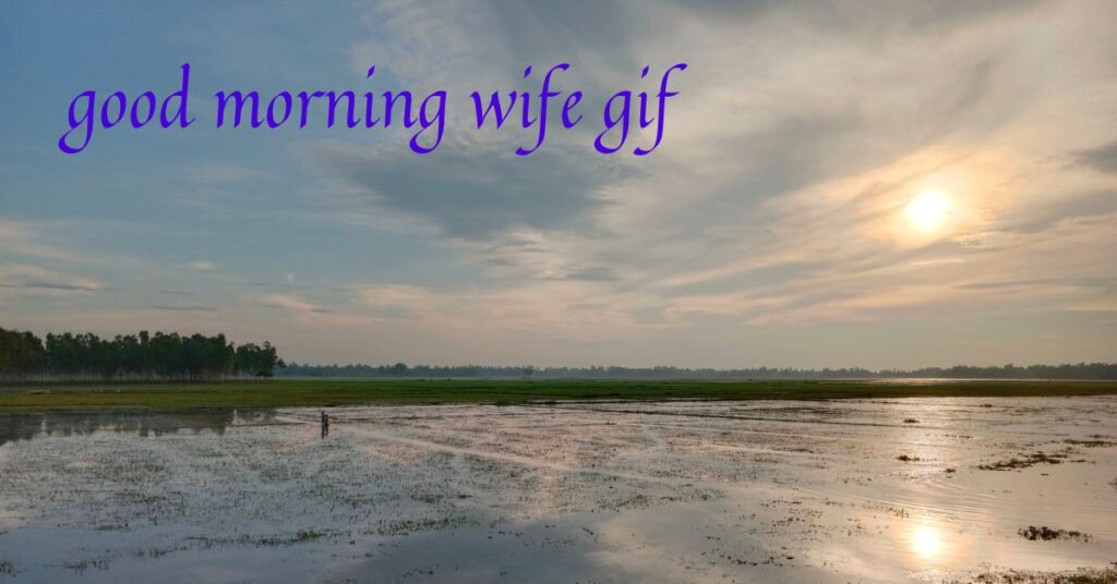 good morning wife gif
