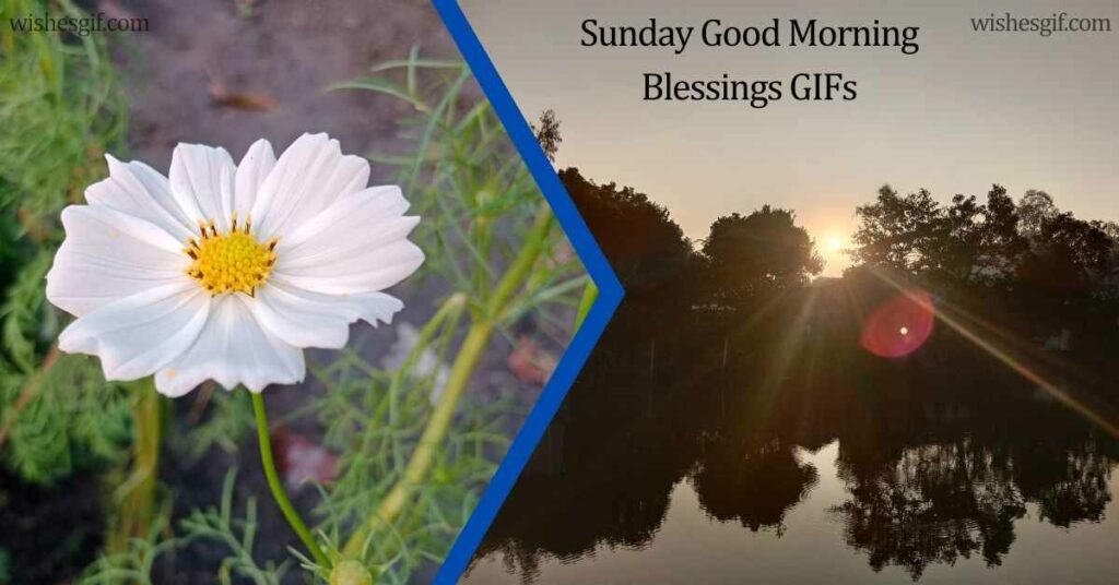 Sunday Good Morning Blessings GIFs