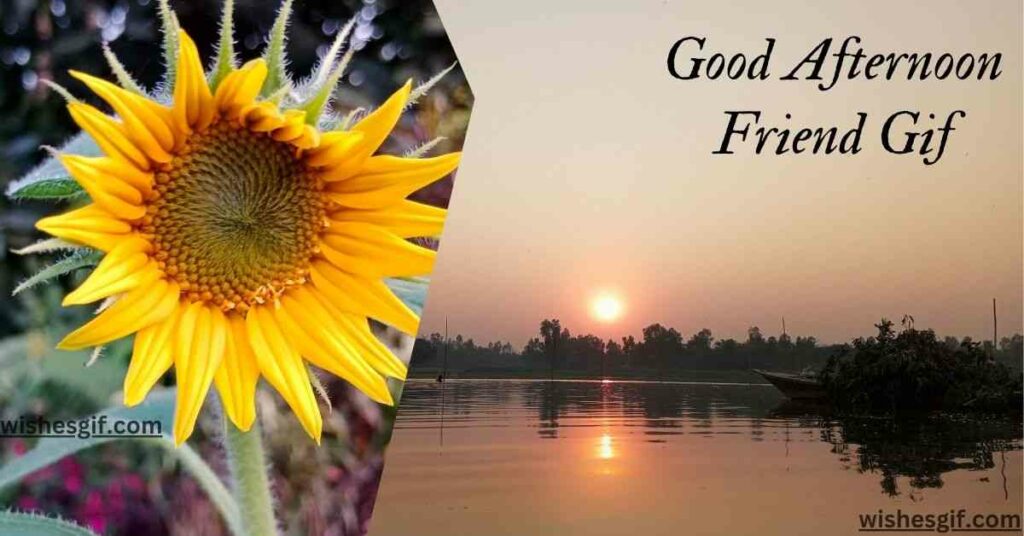 Good Afternoon Friend Gif