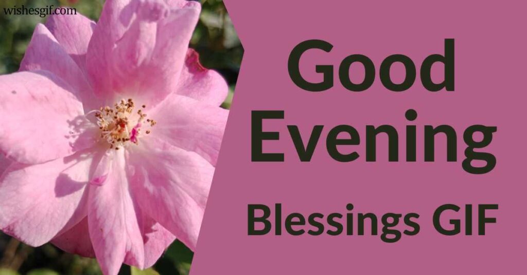 Good Evening Blessings GIF
