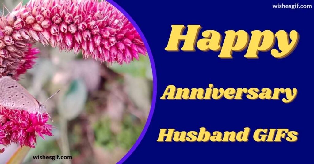 Happy Anniversary Husband GIFs