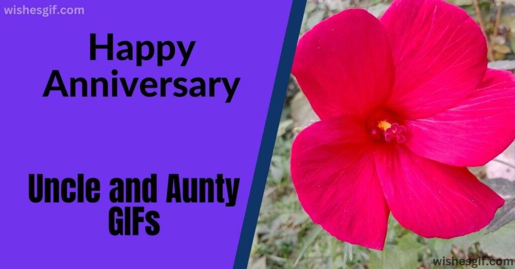 Happy Anniversary Uncle and Aunty GIFs