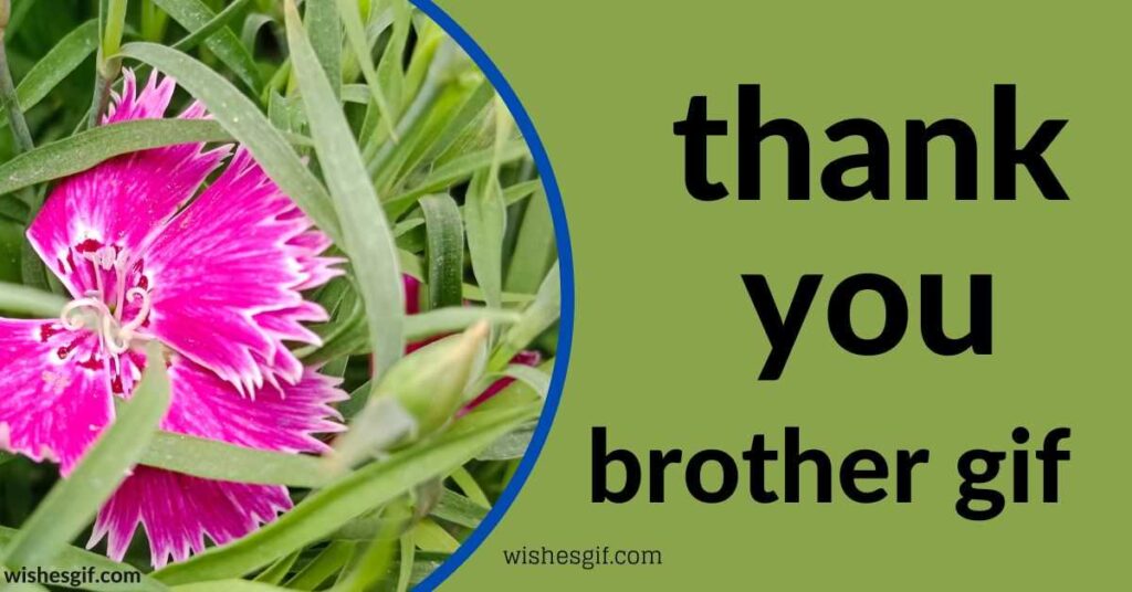 thank you brother gif