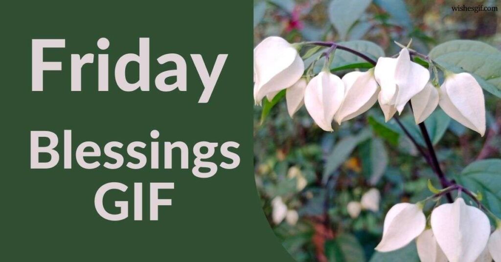 Friday Blessings GIF