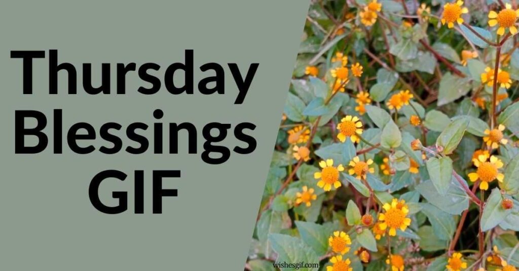 Thursday Blessings GIF